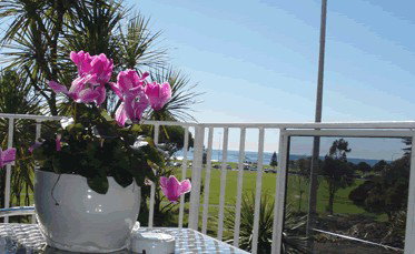 Beach Park Motor Inn - Tourism Hervey Bay 3