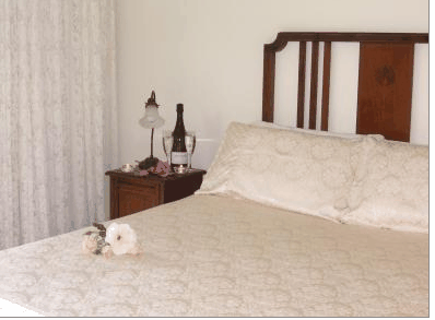 Catton Hall Country Homestead - Hervey Bay Accommodation 3