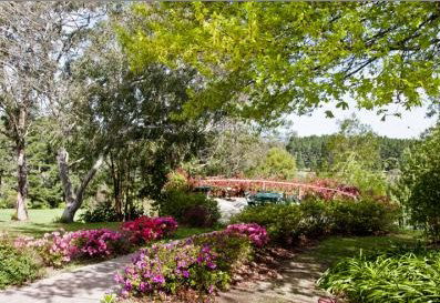 Bilpin Resort - Hervey Bay Accommodation 2