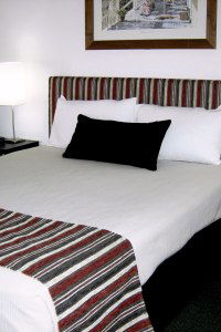 Cattle City Motor Inn - Hervey Bay Accommodation 1