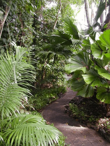Rainforest Grove Holiday Resort - Hervey Bay Accommodation 1