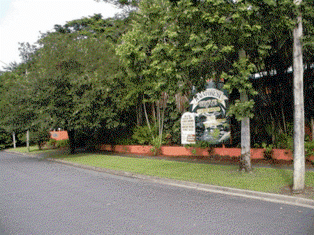 Rainforest Grove Holiday Resort - Hervey Bay Accommodation 2