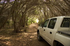 Nampara Cabins - Hervey Bay Accommodation 1