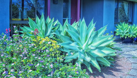 Possum Creek Lodge - Hervey Bay Accommodation 2