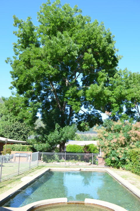 Bright Colonial Inn Motel - Hervey Bay Accommodation 4