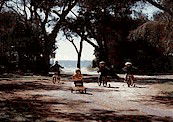 Acacia Caravan Park - Hervey Bay Accommodation 4