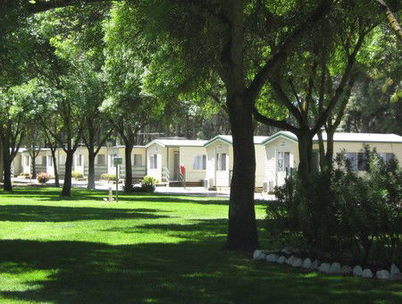 BIG 4 Barossa Tourist Park - Hervey Bay Accommodation 0