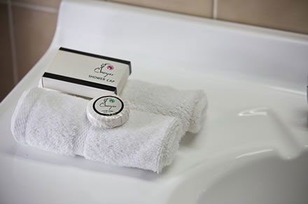 Cumberland Motor Inn - Hervey Bay Accommodation 7