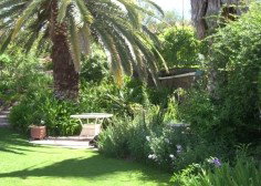 Nthaba Cottage - Hervey Bay Accommodation 0