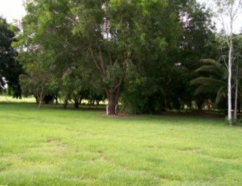 Daly River Mango Farm - Hervey Bay Accommodation 1