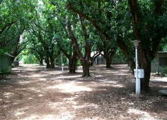 Daly River Mango Farm - Hervey Bay Accommodation 4