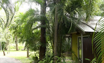Rum Jungle Bungalows - Hervey Bay Accommodation 3