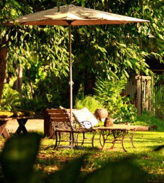 Rum Jungle Bungalows - Hervey Bay Accommodation 4