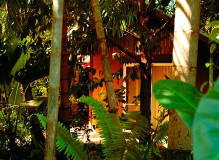 Rum Jungle Bungalows - Hervey Bay Accommodation 5