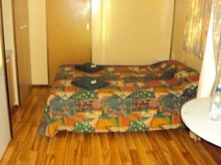 Mataranka Homestead Motel - Hervey Bay Accommodation 4