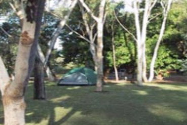 Outback Caravan Park - Hervey Bay Accommodation 3