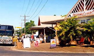 Mission Beach Rainforest Motel - Hervey Bay Accommodation 0