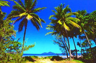 Mission Beach Rainforest Motel - Hervey Bay Accommodation 1