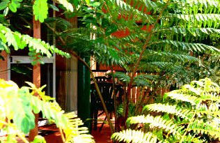 Mission Beach Rainforest Motel - Hervey Bay Accommodation 3