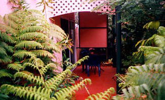 Mission Beach Rainforest Motel - Hervey Bay Accommodation 4