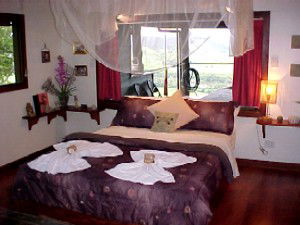 Daintree Cloud 9 - Hervey Bay Accommodation 0