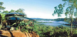 Daintree Cloud 9 - Hervey Bay Accommodation 1