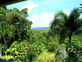 Daintree Manor - Hervey Bay Accommodation 3