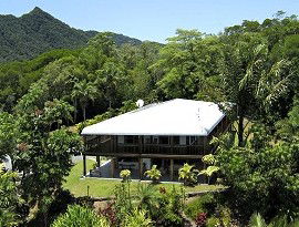 Daintree Manor - Hervey Bay Accommodation 4