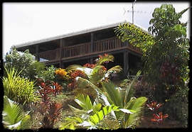 Daintree Manor - Hervey Bay Accommodation 5