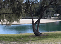 Ocean View Apartments - Hervey Bay Accommodation 3