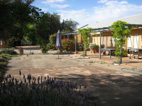 Peechabella Vineyards Bed & Breakfast - Hervey Bay Accommodation 0