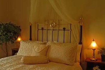 Citrus Cottage - Hervey Bay Accommodation 2