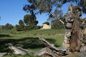 Saunders Gorge Sanctuary - Boundary Cottage - Tourism Hervey Bay 1