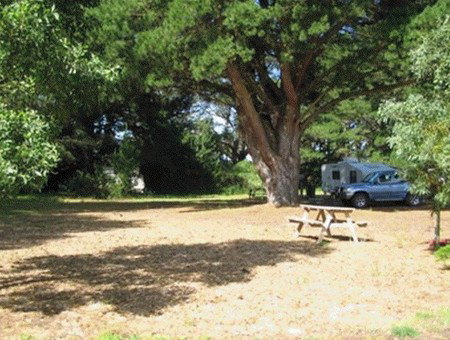 Millicent Hillview Caravan Park - Hervey Bay Accommodation 1