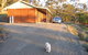 Molly's Chase - thumb 1