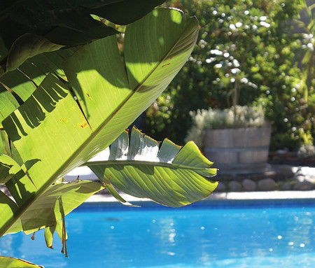 Kangaroo Island Seafront Resort - Hervey Bay Accommodation 5