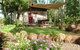 Virginia Heliconia Farm - thumb 1