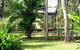 Virginia Heliconia Farm - thumb 3