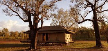 Wildman Wilderness Lodge - Hervey Bay Accommodation 4
