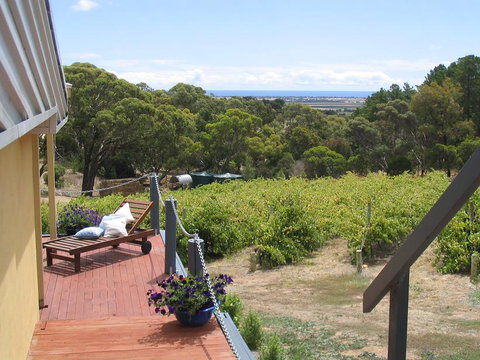 The Blue Grape Vineyard Accommodation - Hervey Bay Accommodation 1