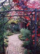 Adelaide Hills Country Cottages - The Nest - Tourism Hervey Bay 2