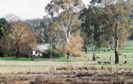 Tungali Cottage - Hervey Bay Accommodation 3