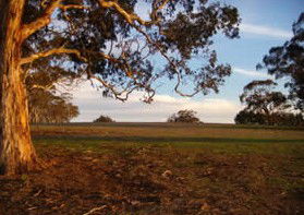 Mirrabooka Bed And Breakfast - Hervey Bay Accommodation 1