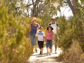 Long Island Caravan Park Cabins - Hervey Bay Accommodation 0