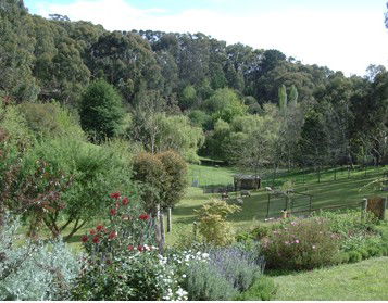 Lorikeet Lane B&B - Hervey Bay Accommodation 1