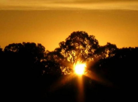 Linfield Cottage - Hervey Bay Accommodation 1