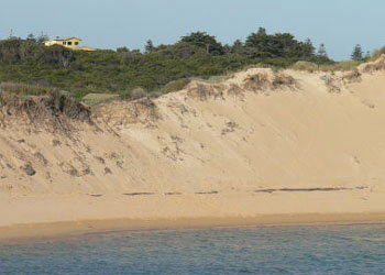 Ark Bed And Breakfast - Hervey Bay Accommodation 1