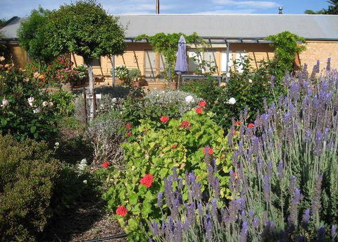 Peechabella Vineyards Bed & Breakfast - Hervey Bay Accommodation 3
