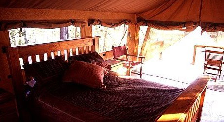 Jabiru Safari Lodge At Mareeba Wetlands - Hervey Bay Accommodation 1