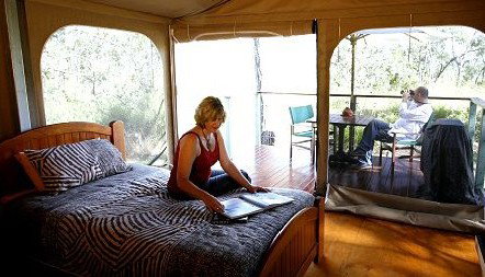 Jabiru Safari Lodge At Mareeba Wetlands - Hervey Bay Accommodation 2